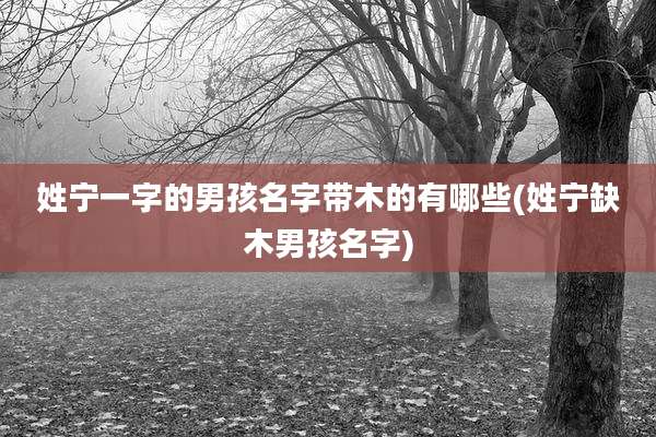 姓宁一字的男孩名字带木的有哪些(姓宁缺木男孩名字)