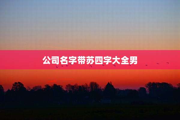 公司名字带苏四字大全男