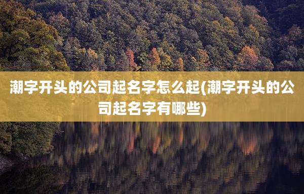 潮字开头的公司起名字怎么起(潮字开头的公司起名字有哪些)
