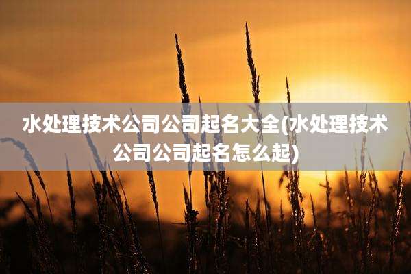 水处理技术公司公司起名大全(水处理技术公司公司起名怎么起)