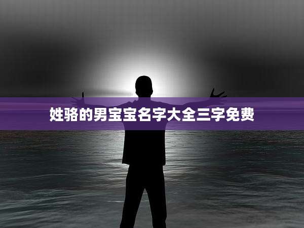 姓骆的男宝宝名字大全三字免费