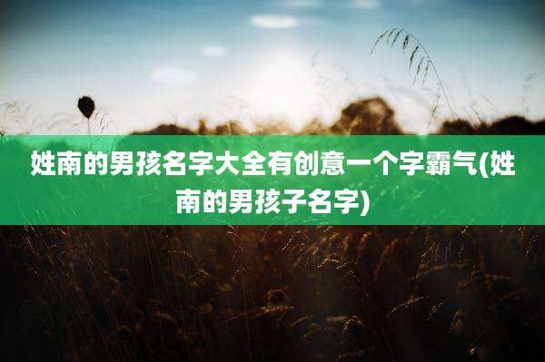 姓南的男孩名字大全有创意一个字霸气(姓南的男孩子名字)