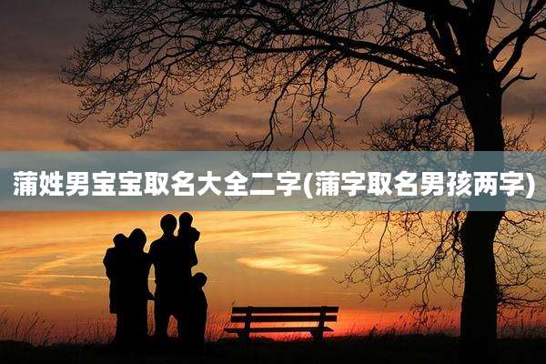 蒲姓男宝宝取名大全二字(蒲字取名男孩两字)
