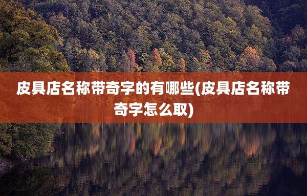 皮具店名称带奇字的有哪些(皮具店名称带奇字怎么取)