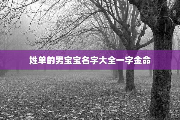 姓单的男宝宝名字大全一字金命