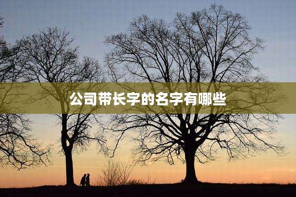 公司带长字的名字有哪些