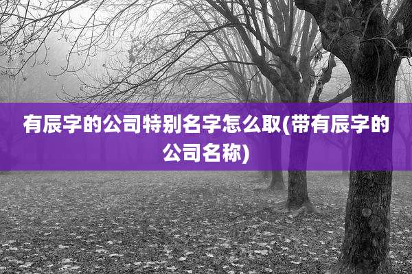 有辰字的公司特别名字怎么取(带有辰字的公司名称)