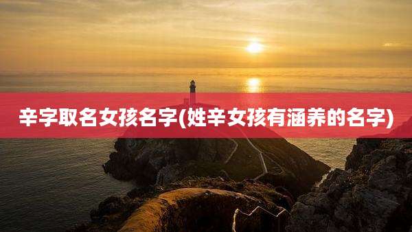 辛字取名女孩名字(姓辛女孩有涵养的名字)