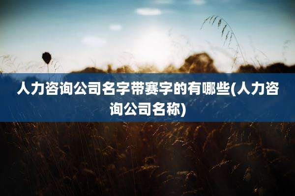 人力咨询公司名字带赛字的有哪些(人力咨询公司名称)