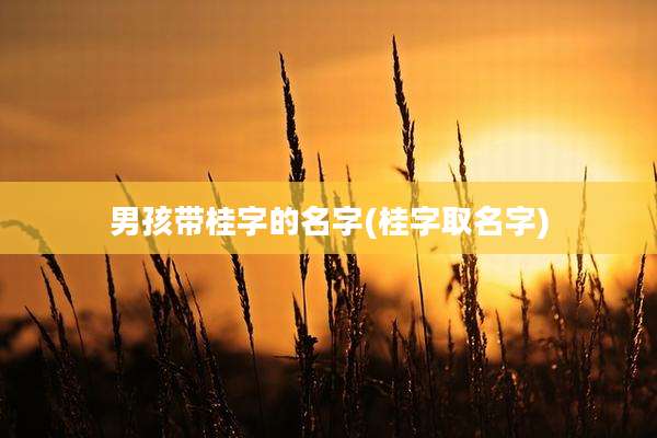 男孩带桂字的名字(桂字取名字)