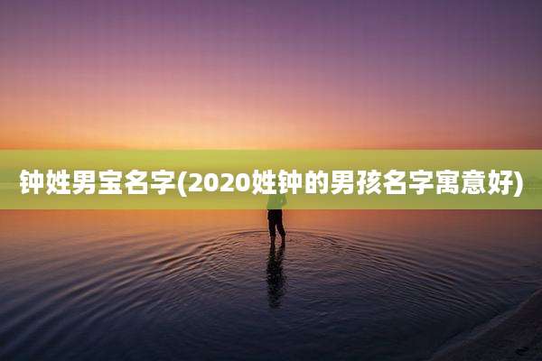 钟姓男宝名字(2020姓钟的男孩名字寓意好)
