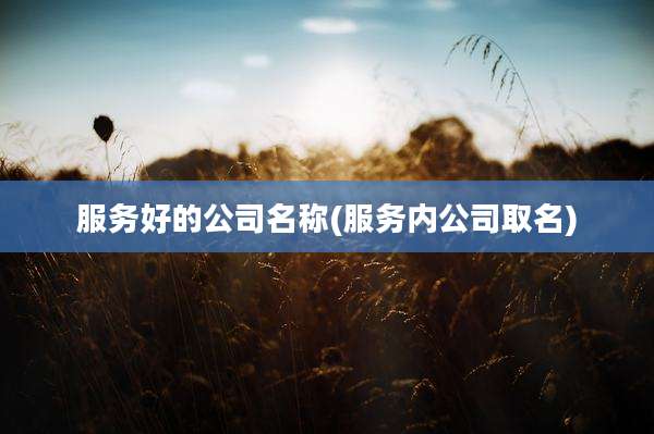 服务好的公司名称(服务内公司取名)