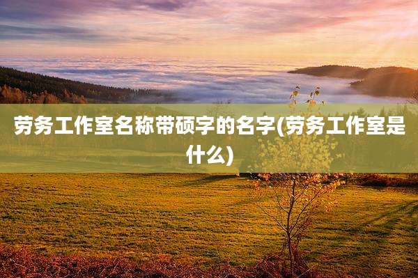 劳务工作室名称带硕字的名字(劳务工作室是什么)