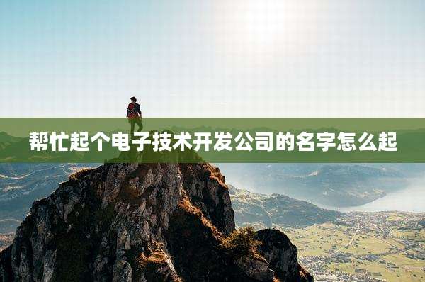 帮忙起个电子技术开发公司的名字怎么起