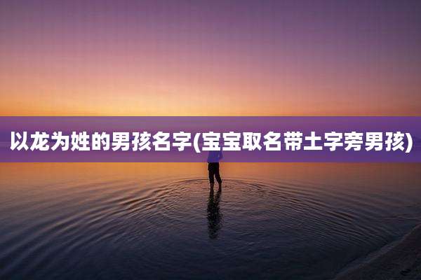 以龙为姓的男孩名字(宝宝取名带土字旁男孩)