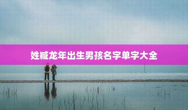 姓臧龙年出生男孩名字单字大全