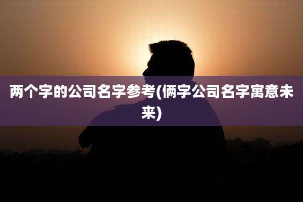 两个字的公司名字参考(俩字公司名字寓意未来)