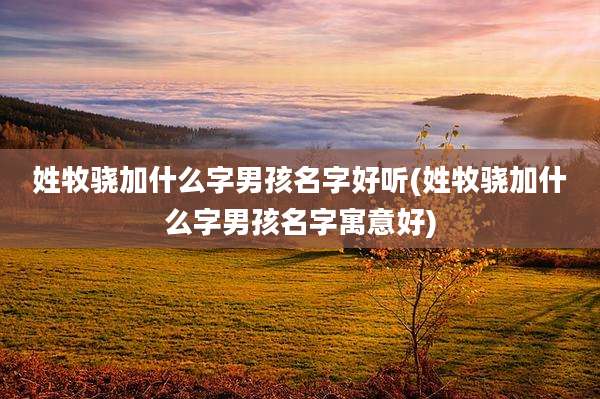 姓牧骁加什么字男孩名字好听(姓牧骁加什么字男孩名字寓意好)