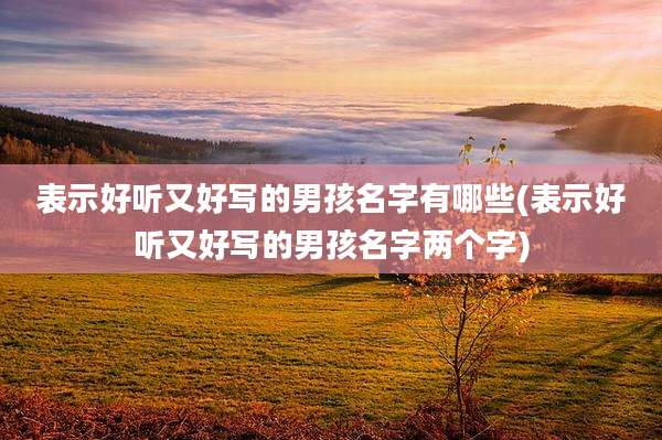 表示好听又好写的男孩名字有哪些(表示好听又好写的男孩名字两个字)