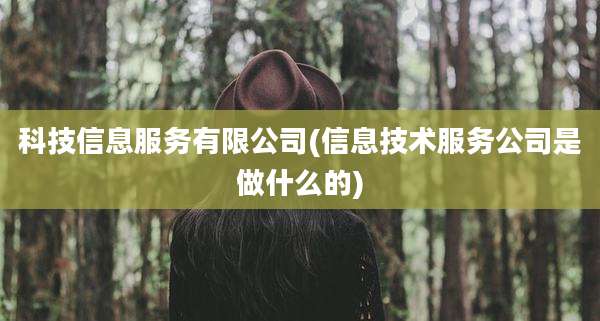科技信息服务有限公司(信息技术服务公司是做什么的)