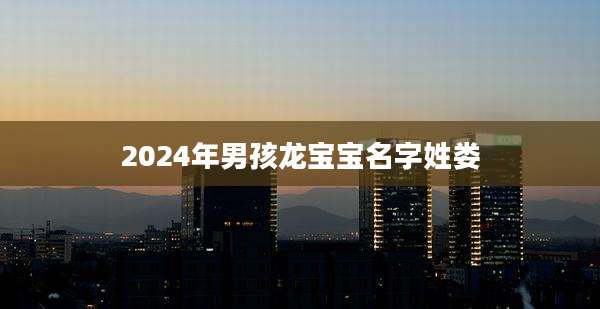 2024年男孩龙宝宝名字姓娄