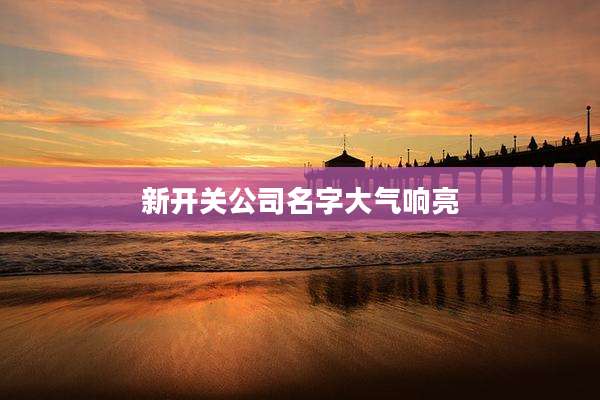新开关公司名字大气响亮