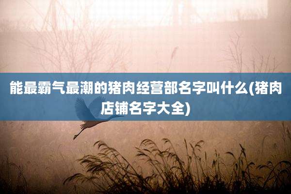 能最霸气最潮的猪肉经营部名字叫什么(猪肉店铺名字大全)