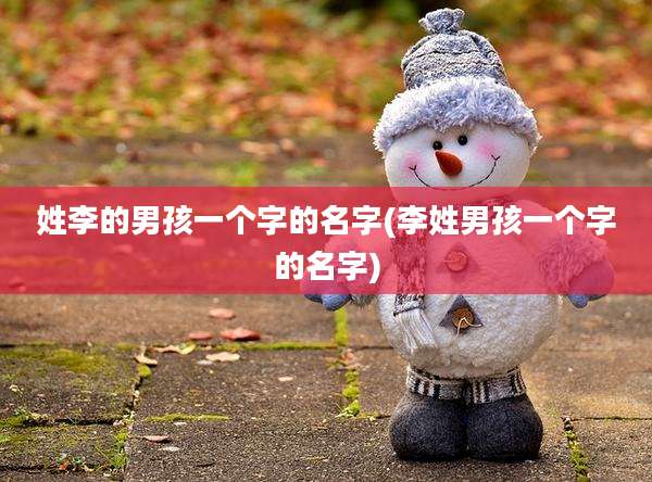 姓李的男孩一个字的名字(李姓男孩一个字的名字)