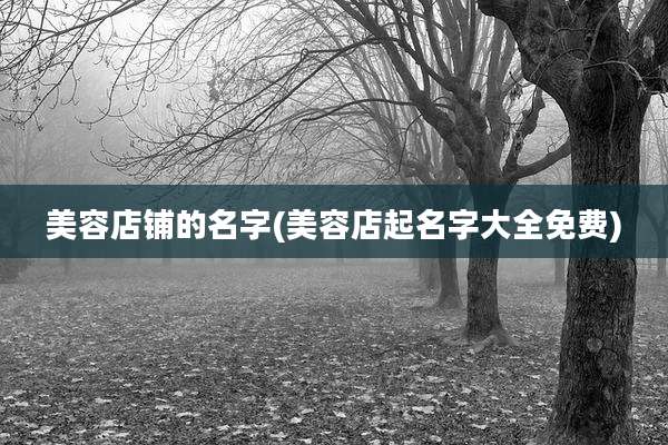 美容店铺的名字(美容店起名字大全免费)