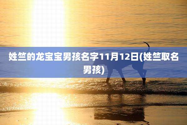 姓竺的龙宝宝男孩名字11月12日(姓竺取名男孩)