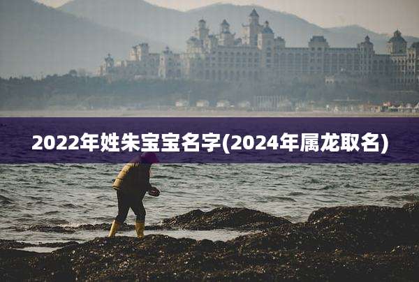 2022年姓朱宝宝名字(2024年属龙取名)