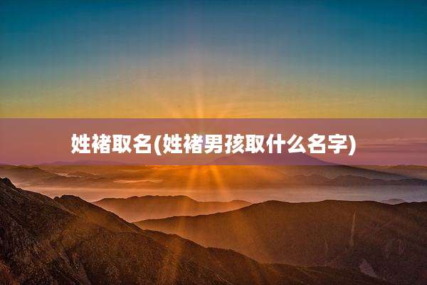 姓褚取名(姓褚男孩取什么名字)