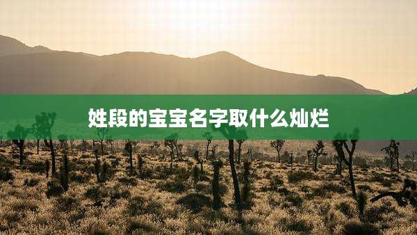姓段的宝宝名字取什么灿烂