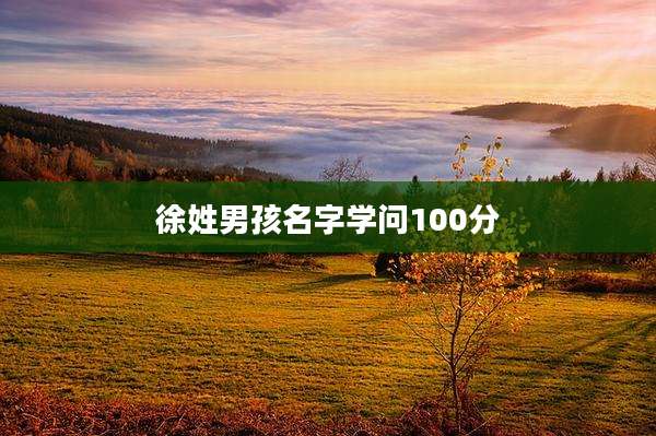 徐姓男孩名字学问100分