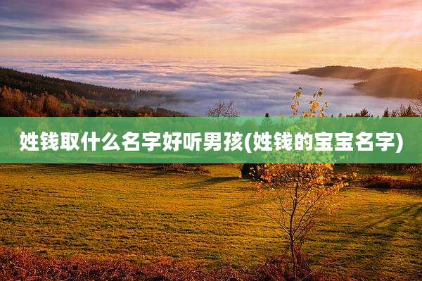 姓钱取什么名字好听男孩(姓钱的宝宝名字)