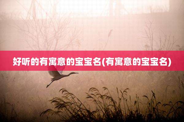 好听的有寓意的宝宝名(有寓意的宝宝名)