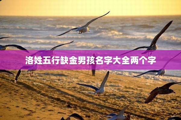 洛姓五行缺金男孩名字大全两个字