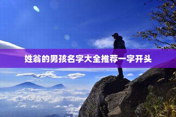 姓翁的男孩名字大全推荐一字开头