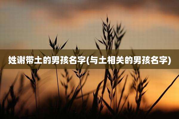 姓谢带土的男孩名字(与土相关的男孩名字)