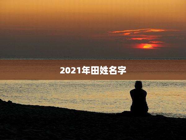 2021年田姓名字