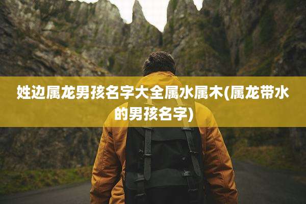 姓边属龙男孩名字大全属水属木(属龙带水的男孩名字)
