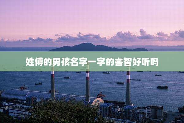 姓傅的男孩名字一字的睿智好听吗