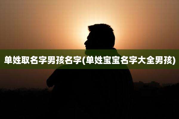 单姓取名字男孩名字(单姓宝宝名字大全男孩)