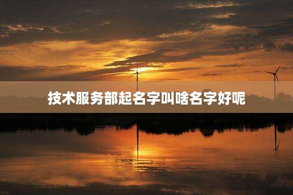 技术服务部起名字叫啥名字好呢