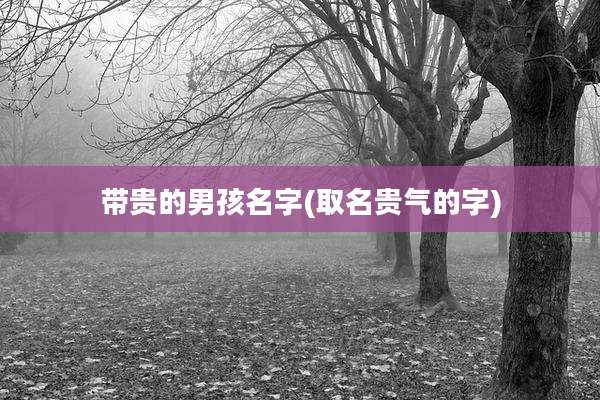 带贵的男孩名字(取名贵气的字)