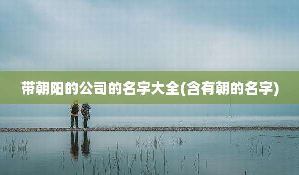 带朝阳的公司的名字大全(含有朝的名字)
