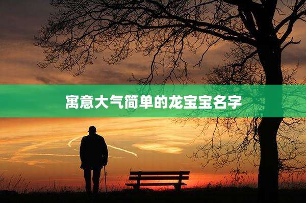 寓意大气简单的龙宝宝名字
