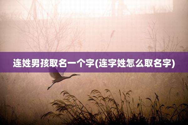 连姓男孩取名一个字(连字姓怎么取名字)