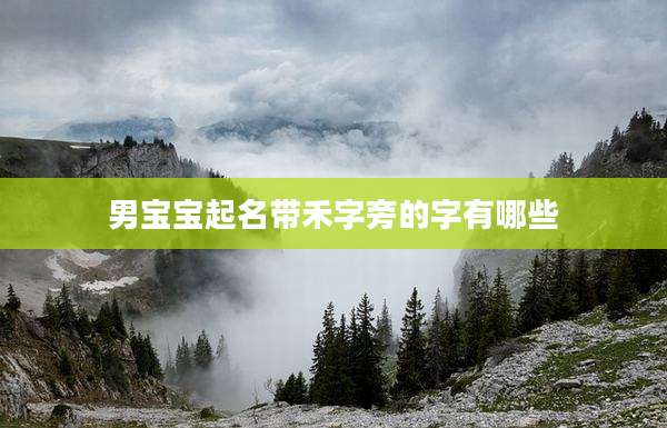 男宝宝起名带禾字旁的字有哪些