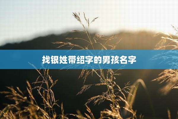 找银姓带绍字的男孩名字